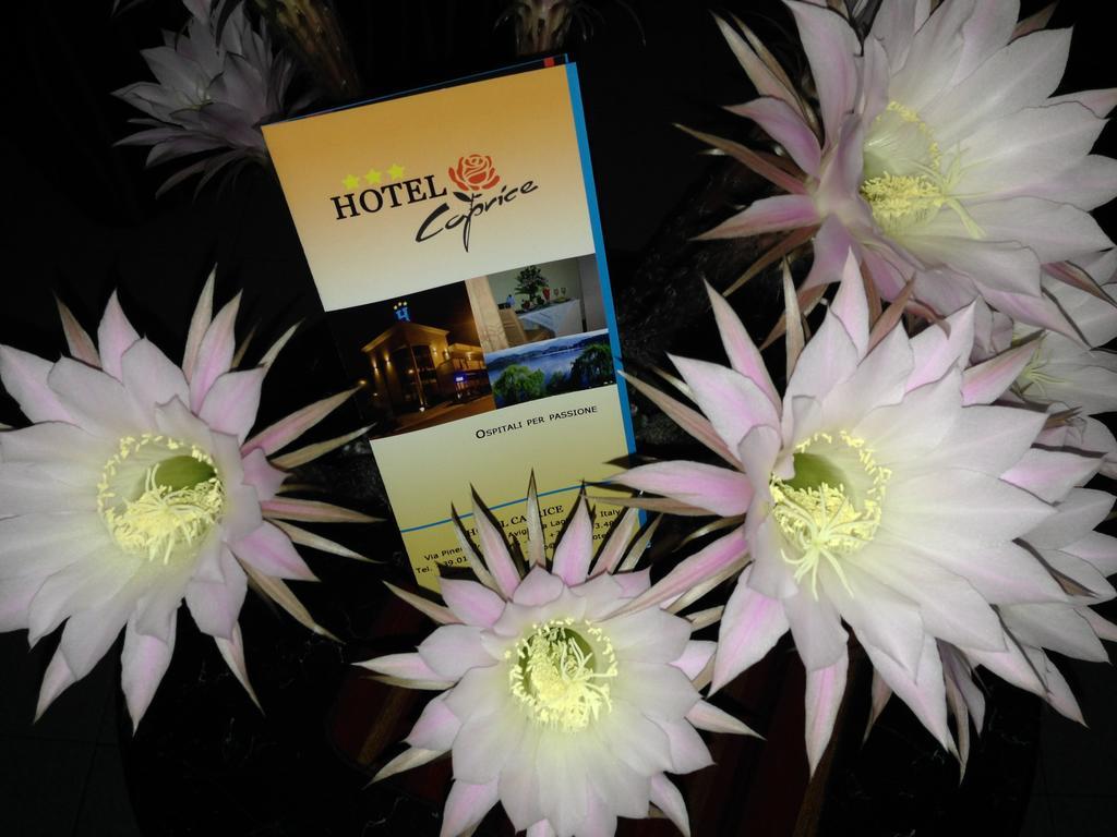 Caprice Hotel Avigliana Bagian luar foto